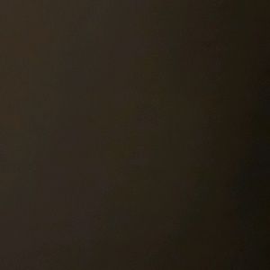 Meet your Posher, Catalina